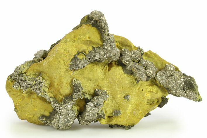 Golden Pyrite on Limonite Clay - Pakistan #283740